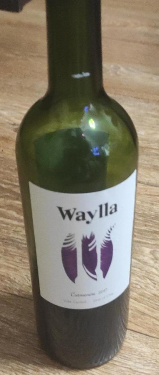 Фото - Вино красное сухое Waylla