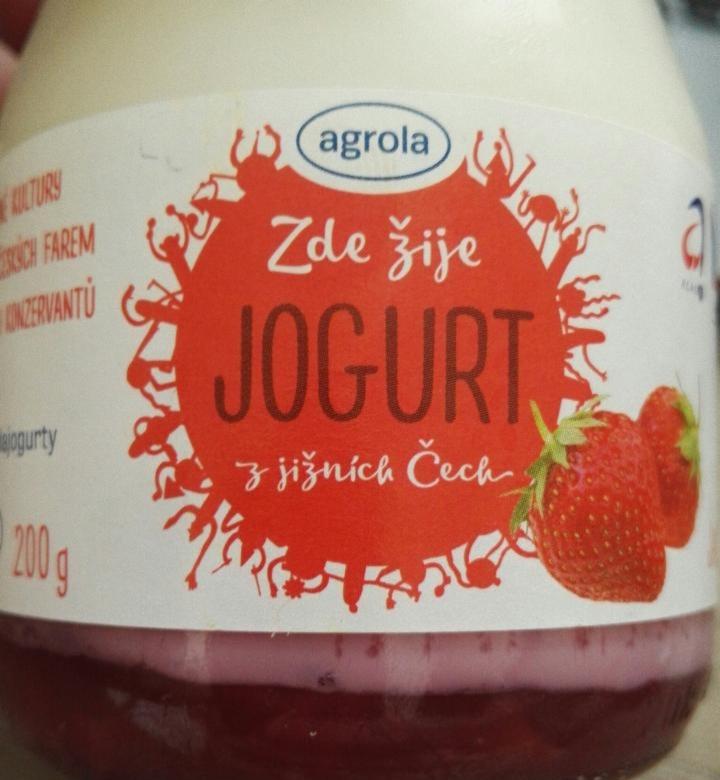 Фото - Zde žije jogurt z jižních Čech jahoda Agrola