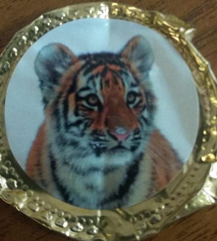 Фото - Изделие кондитерское фигурное монета тигр Шоколадный дом