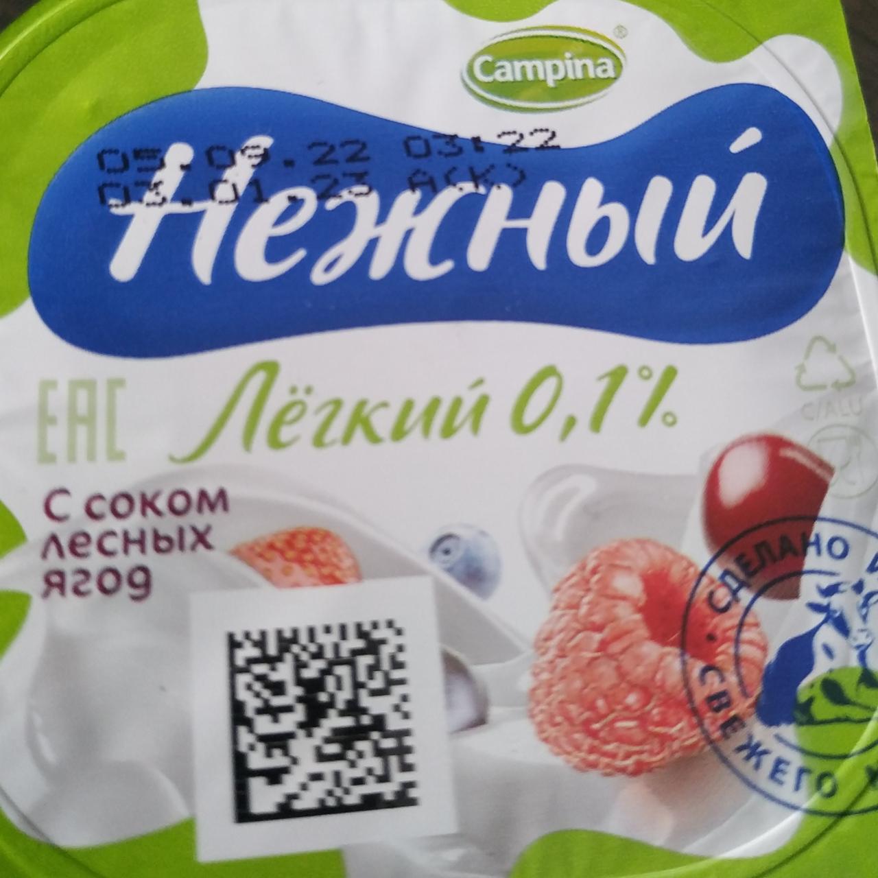 Фото - Йогурт Нежный с соком лесных ягод Лёгкий 0.1% Campina