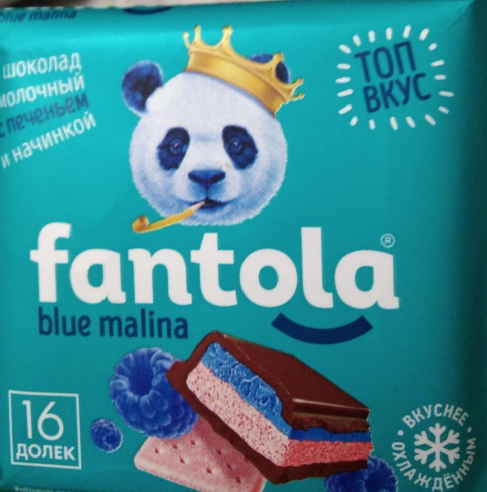 Фото - Шоколад молочный с печеньем и начинкой blue malina Фантола Fantola