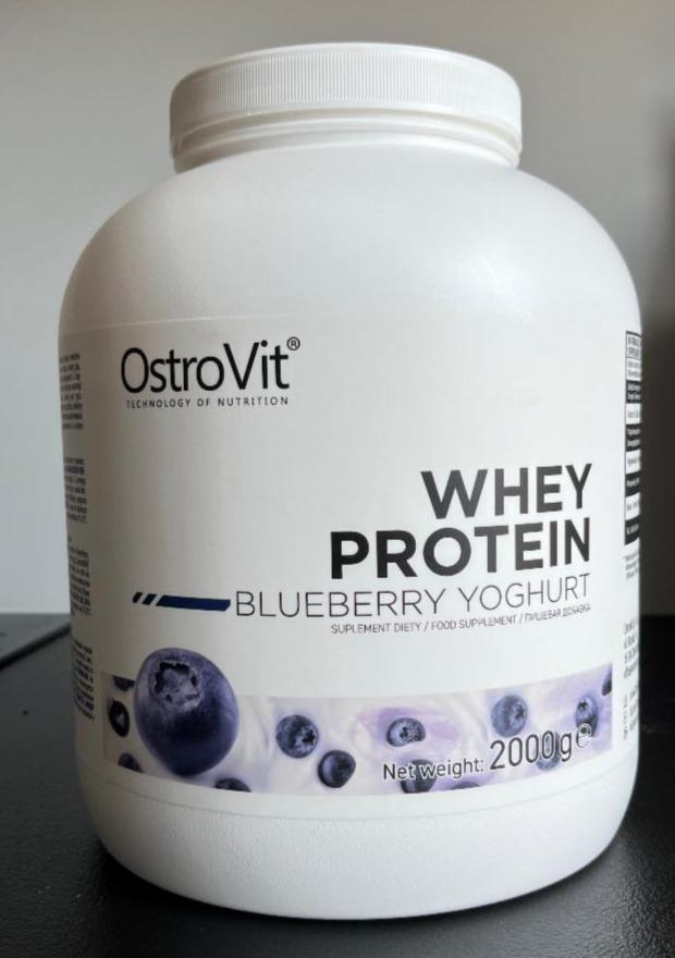 Фото - Протеин Whey Protein Blueberry Yoghurt Ostrovit