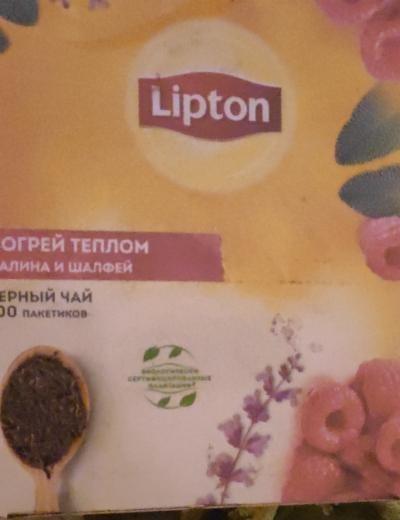 Фото - чай черный с малиной и шалфеем Lipton