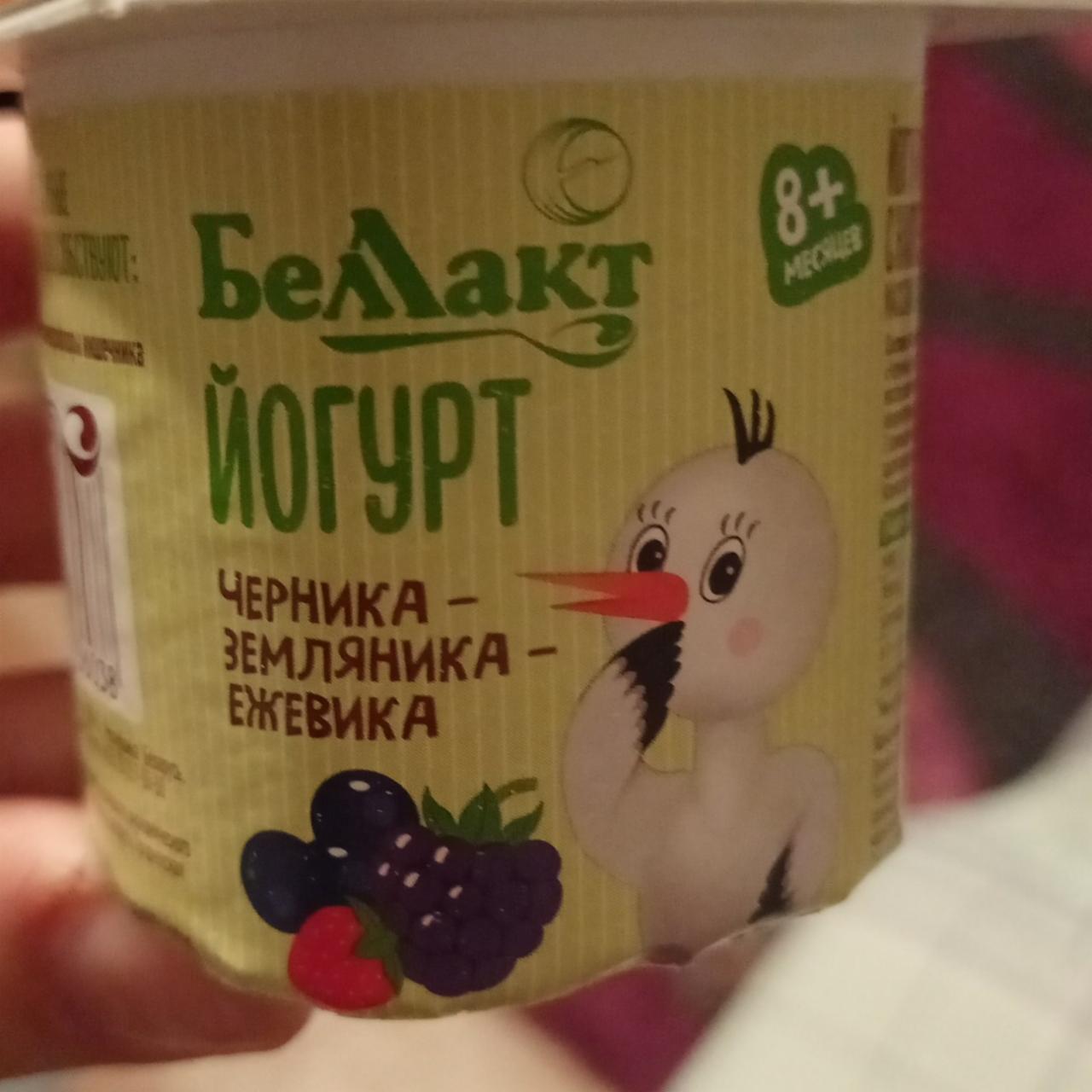 Фото - йогурт для детей раннего возраста черника-земляника-ежевика Беллакт