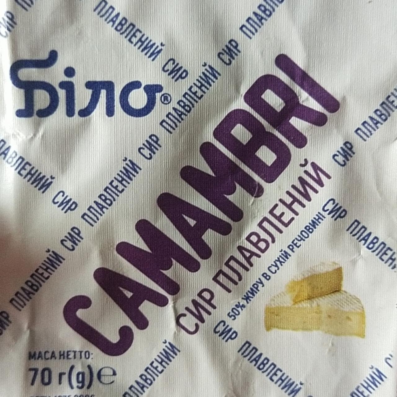 Фото - Сыр плавленый 50% Camambri Біло