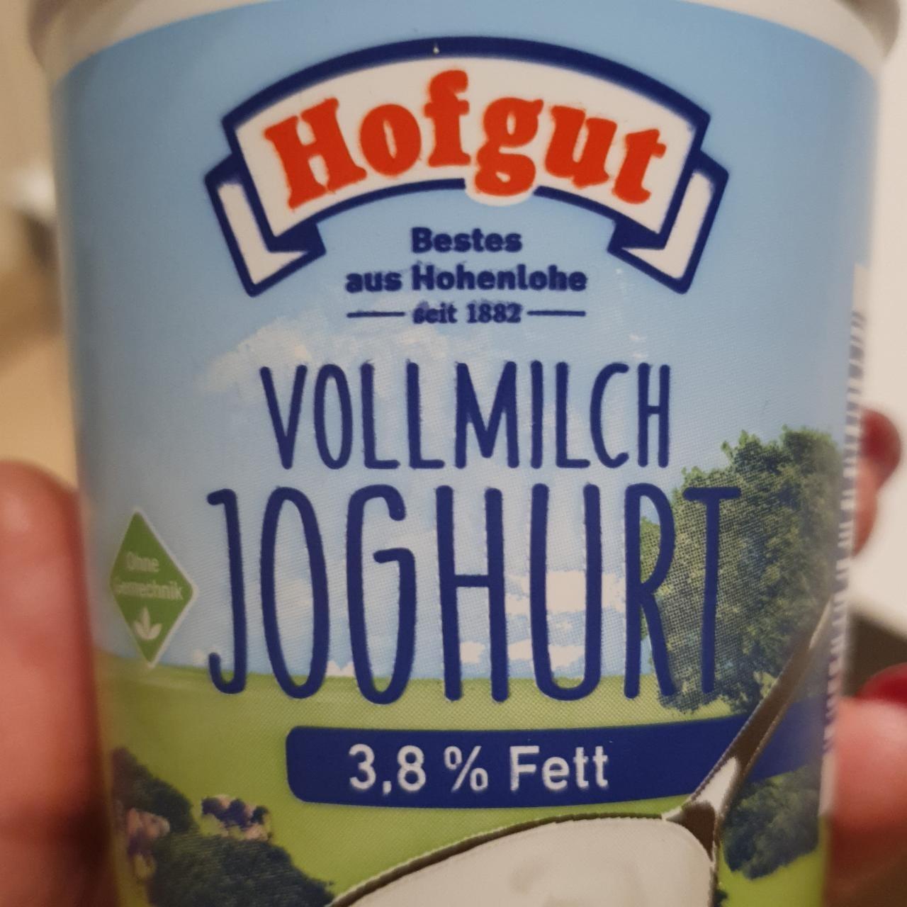 Фото - Йогурт 3.8% Vollmilch Joghurt Hofgut