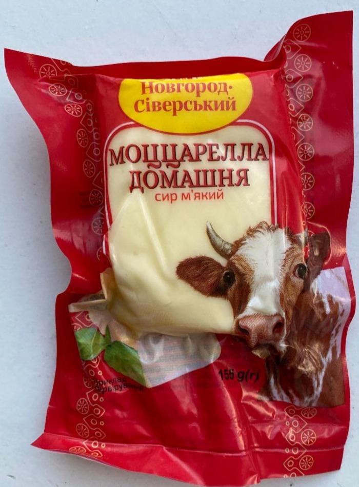 Фото - Сыр 45% мягкий Моццарелла домашняя Новгород-Северский