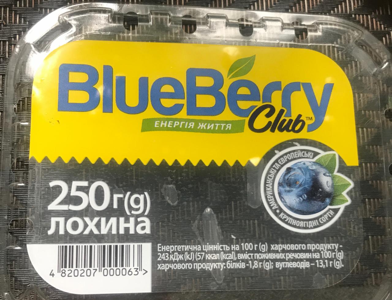 Фото - Голубика Blueberry Club