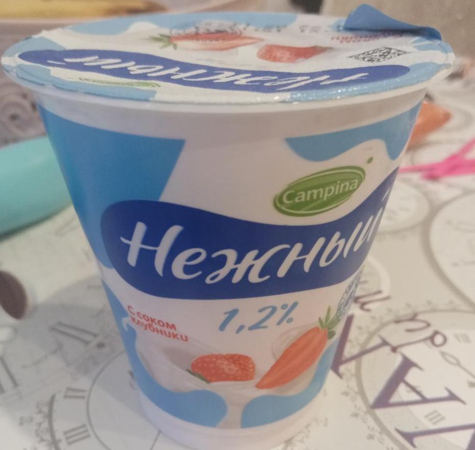 Фото - йогуртный продукт Нежный с соком клубники 1.2% Campina