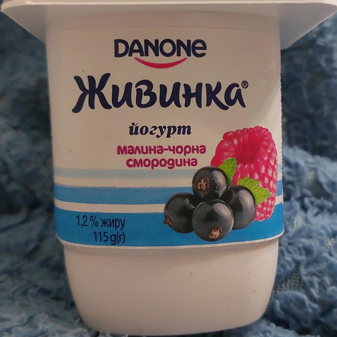 Фото - Йогурт 1.5% Малина Черная смородина Живинка Danone