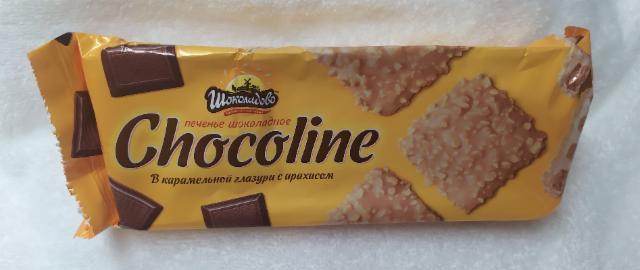 Фото - Печенье шоколадное в карамельной глазури с арахисом Chocoline Шоколадово