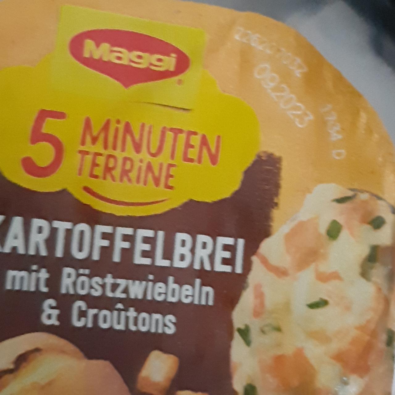 Фото - 5 Minuten Terrine Kartoffelbrei mit Röstzwiebeln & Croûtons Maggi