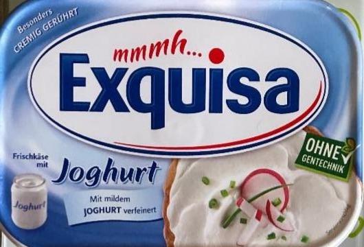 Фото - Сыр 14% мягкий натуральный с йогуртом Exquisa
