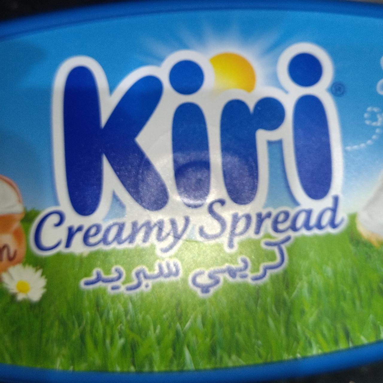Фото - Creamy spread Kiri