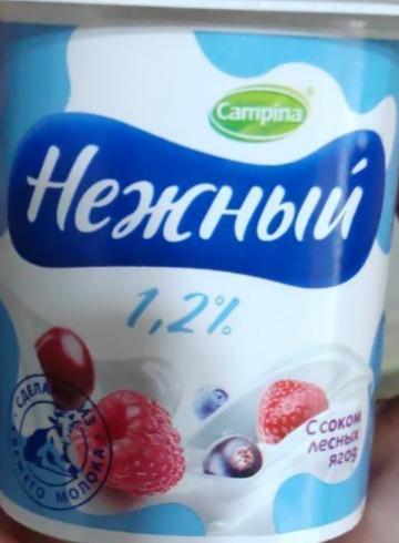 Фото - Йогуртный продукт Нежный с соком малины 1.2% Campina