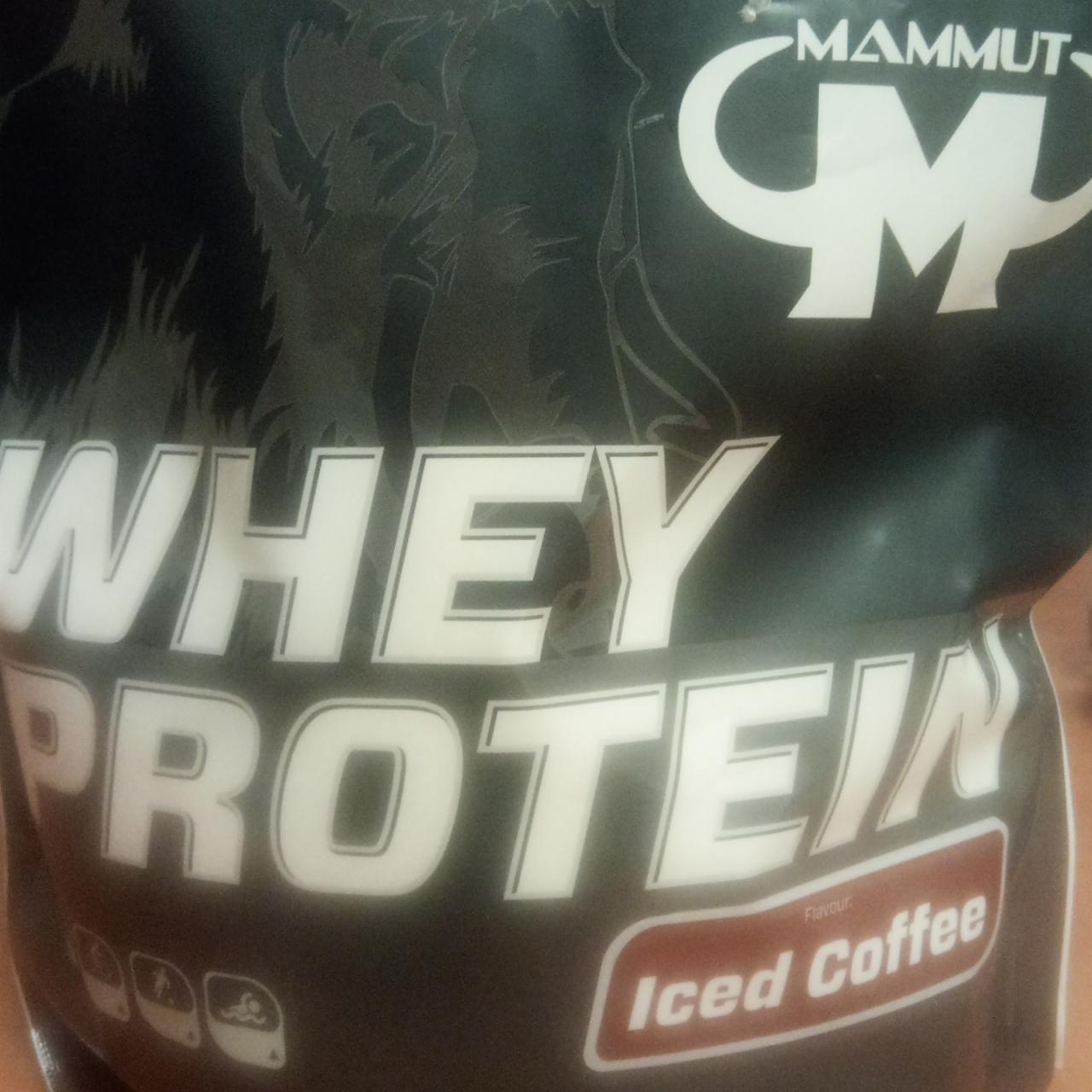 Фото - Протеин Whey Protein Iced Coffee Mammut