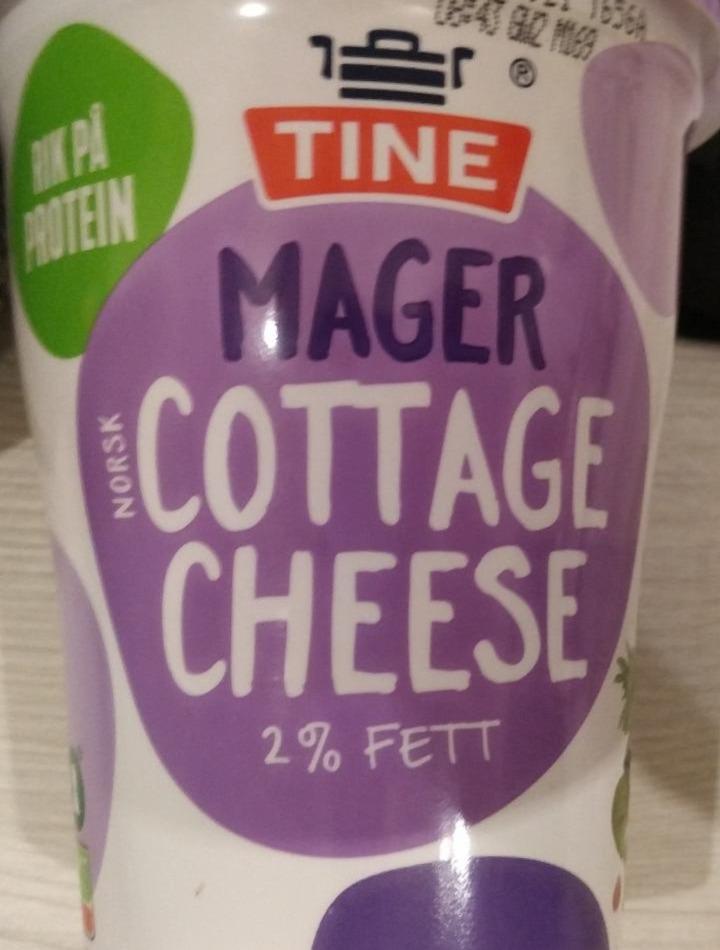 Фото - Творог 2% Cottage Cheese Tine