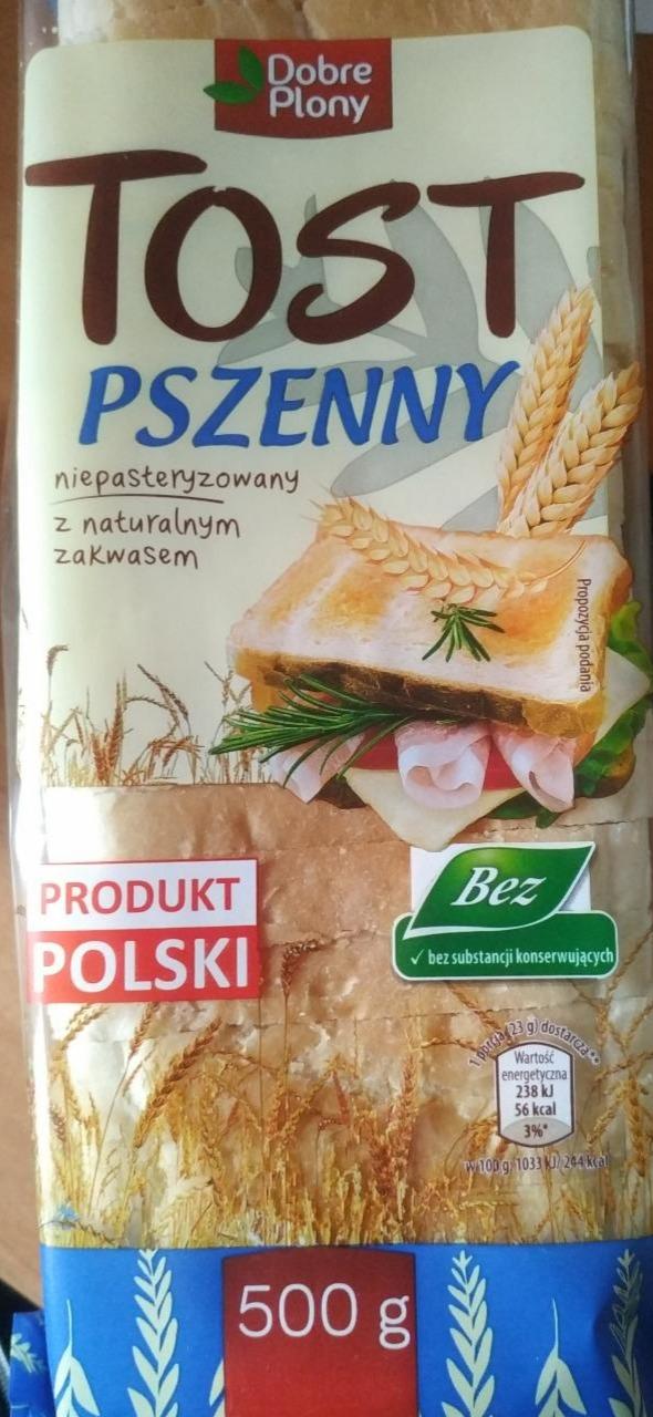 Фото - Tost pszenny пшеничный тост Dobre plony