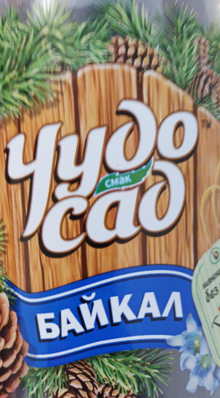 Фото - Напиток безалкогольный сильногазированный Байкал Чудо-сад
