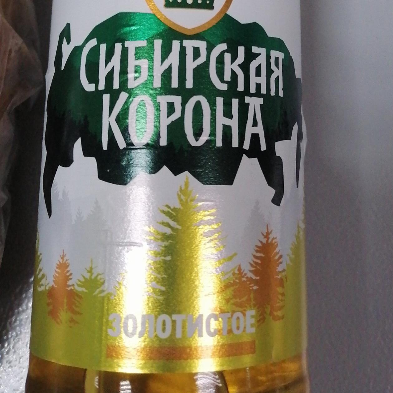 Фото - Пиво золото Сибирская корона