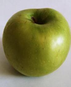 Фото - яблоко сезонное
