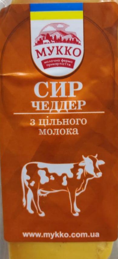 Фото - Сыр 37% из коровьего молока Чеддер Мукко