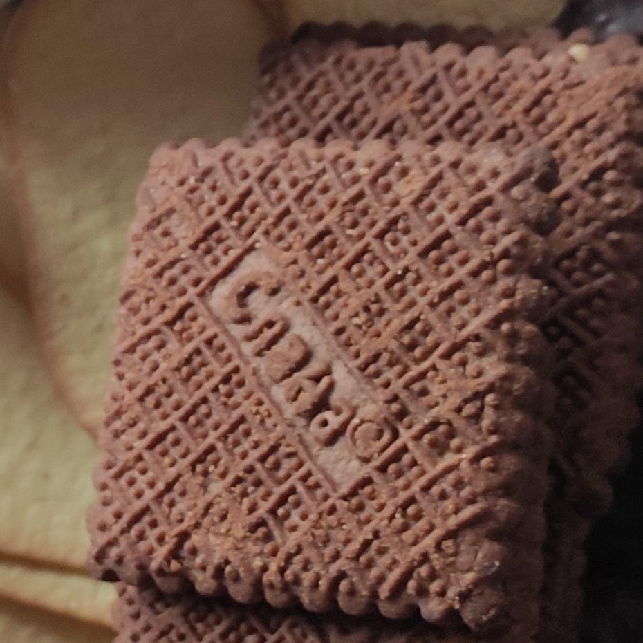 Фото - Печенье из какао Слона