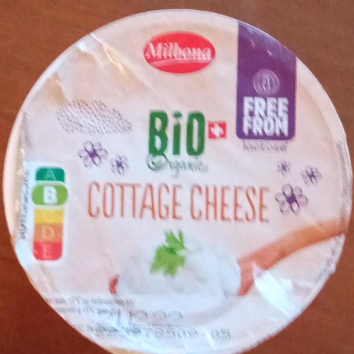 Фото - Био творог органический Cottage Cheese Milbona