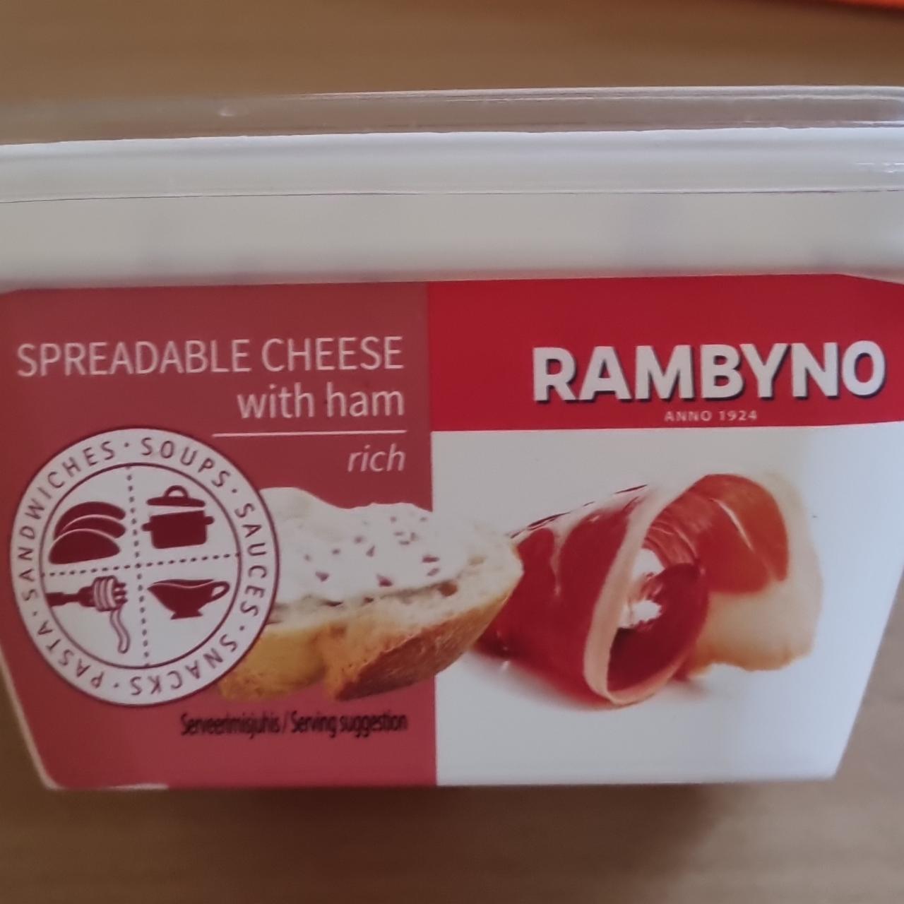 Фото - Сыр плавленый 45% копченый с ветчиной Rambyno