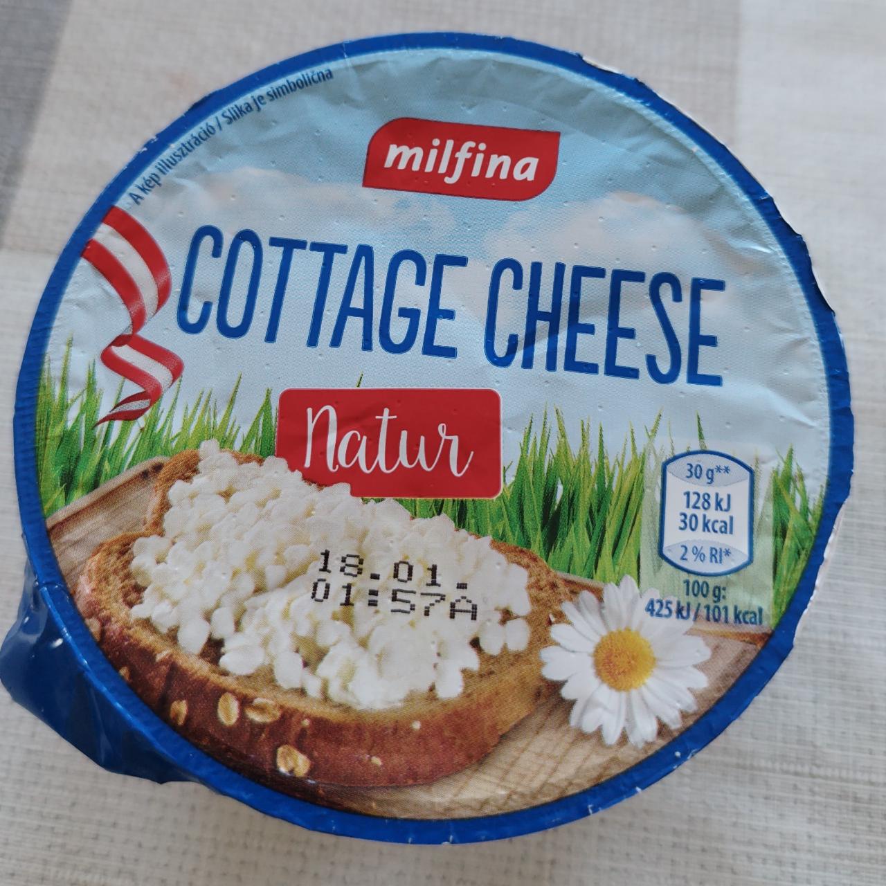Фото - Творог 4.5% Cottage Cheese Milfina