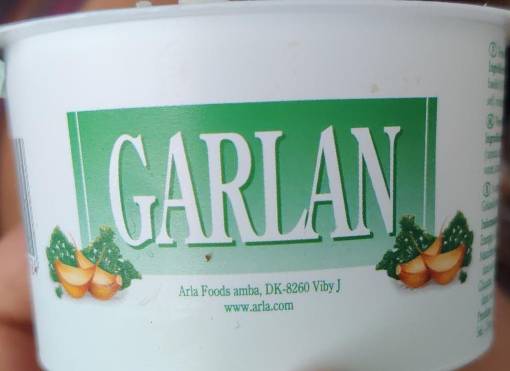 Фото - Cerstvý sýr česnek a bylinky Garlan