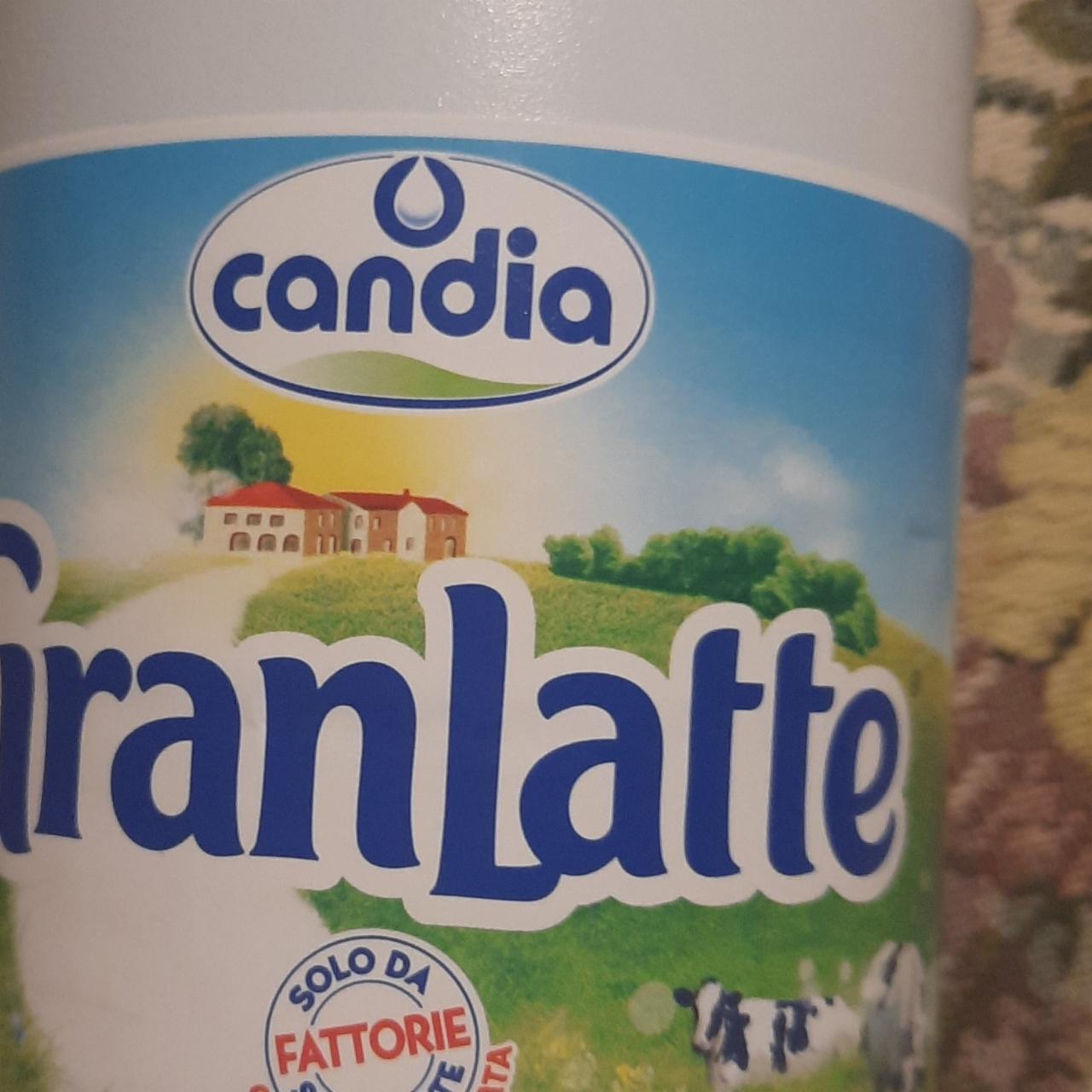 Фото - Молоко 1.6% GranLatte Candia