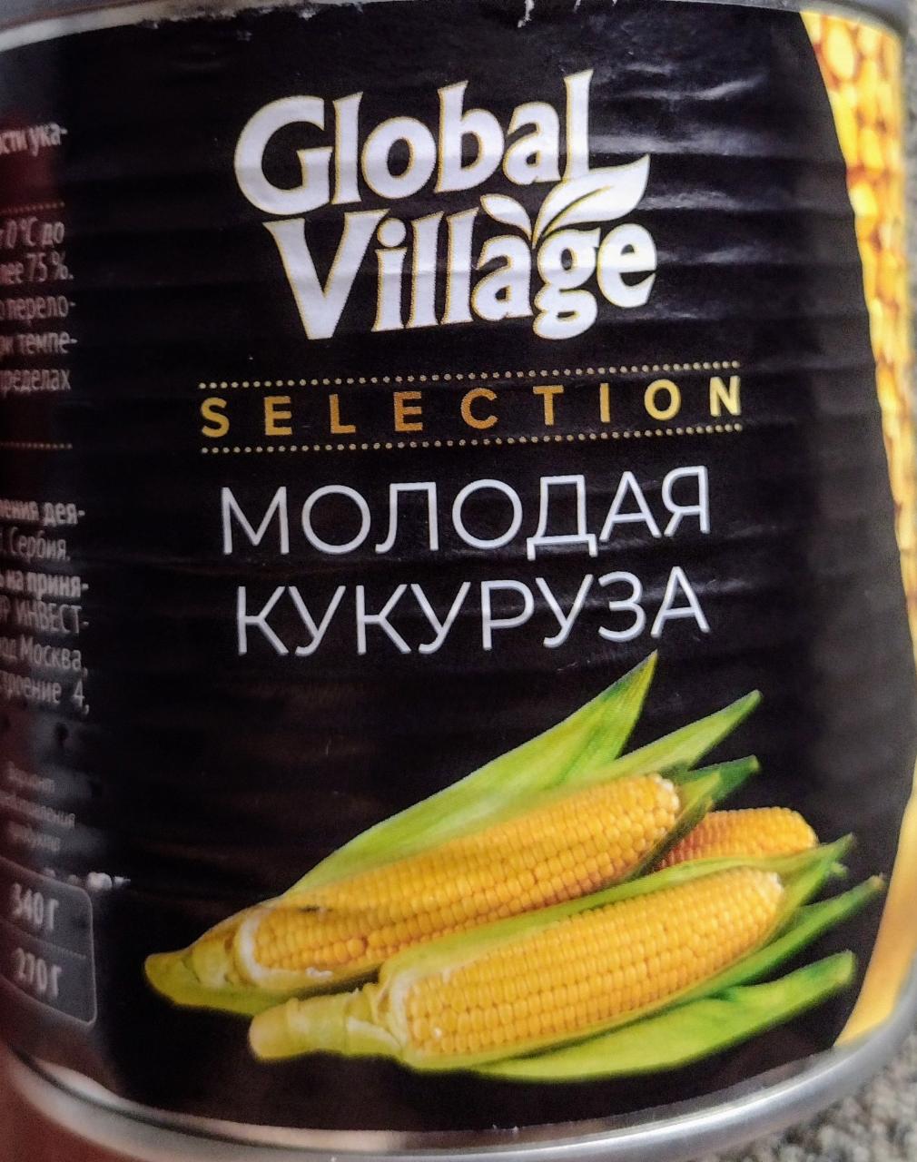 Фото - Молодая кукуруза selection Global village