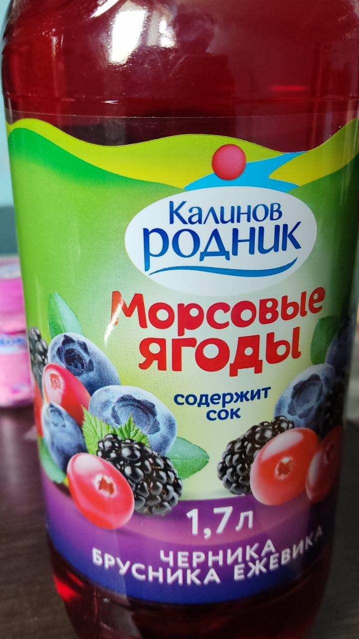 Фото - Напиток газированный Морсовые ягоды Калинов родник