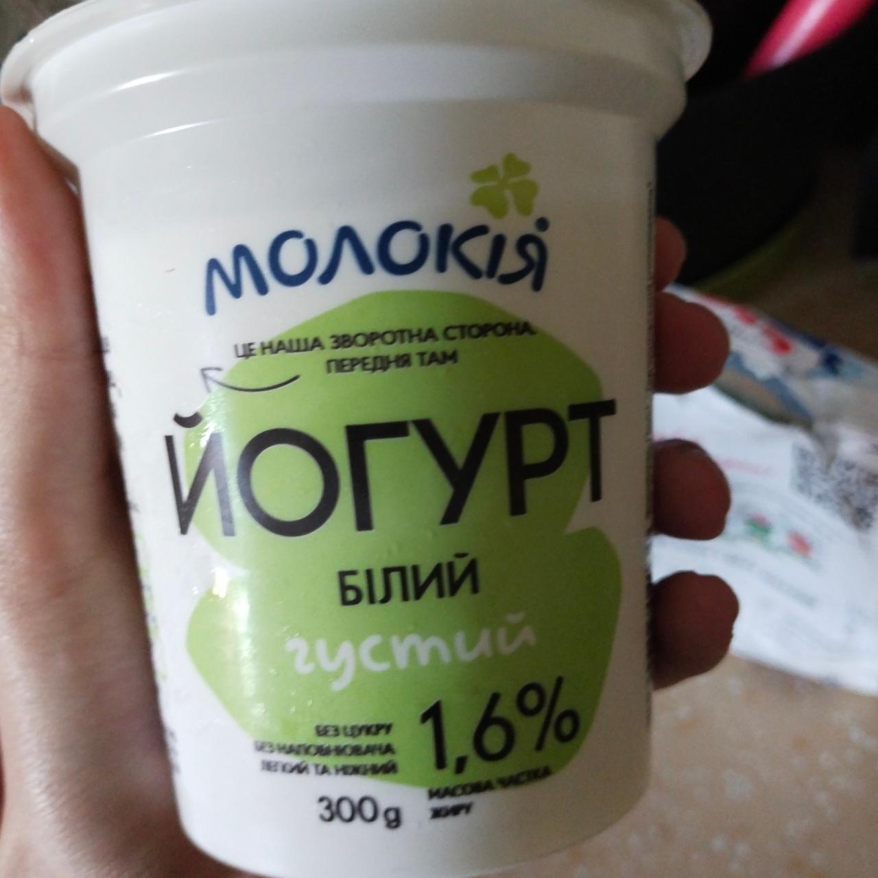 Фото - йогурт білий густий 1,6% Молокия