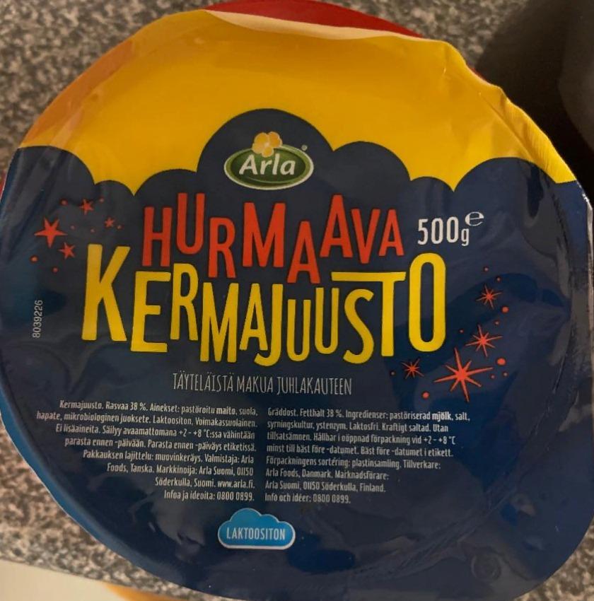 Фото - Сливочный сыр kremaajuusto Hurmaava Arla