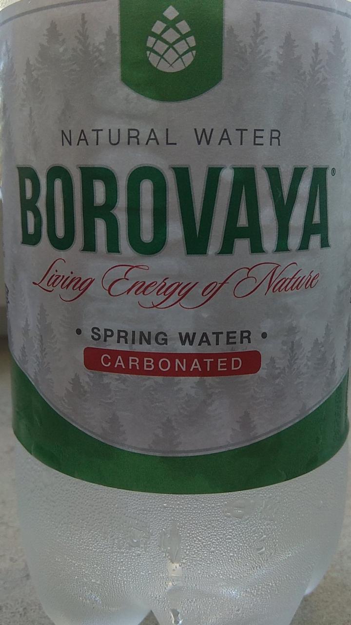 Фото - Минеральная вода Боровая Borovaya