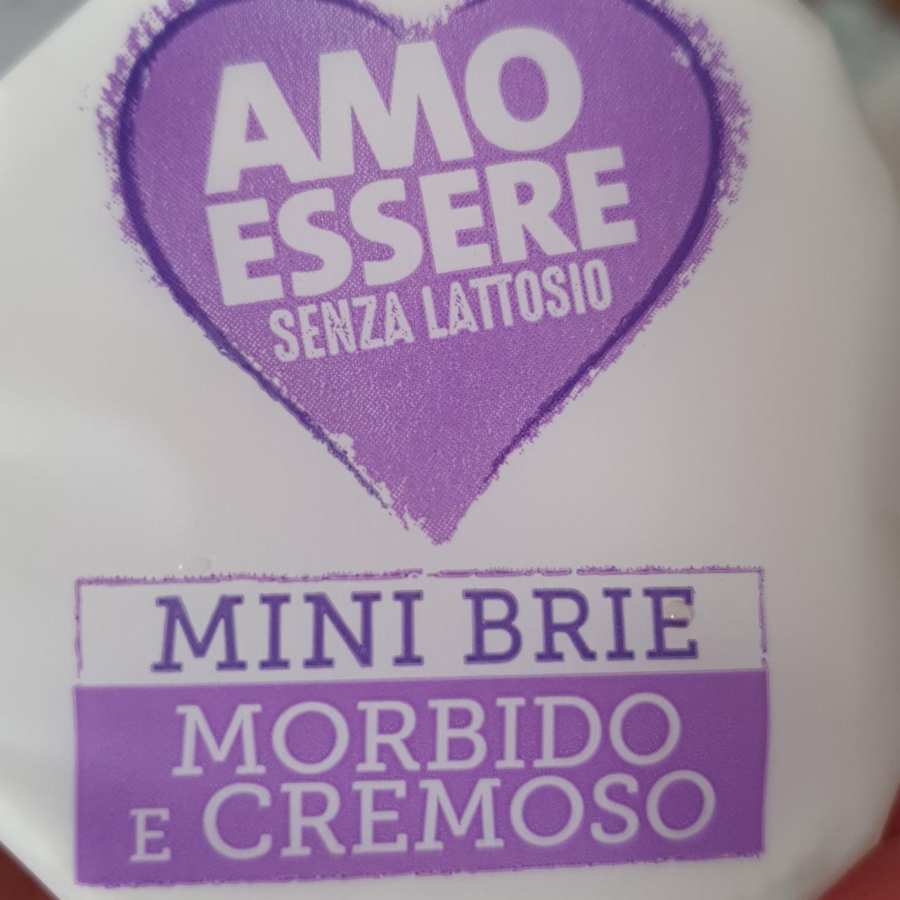 Фото - Mini Brie Formaggio morbido e cremoso Amo Essere senza lattosio Land