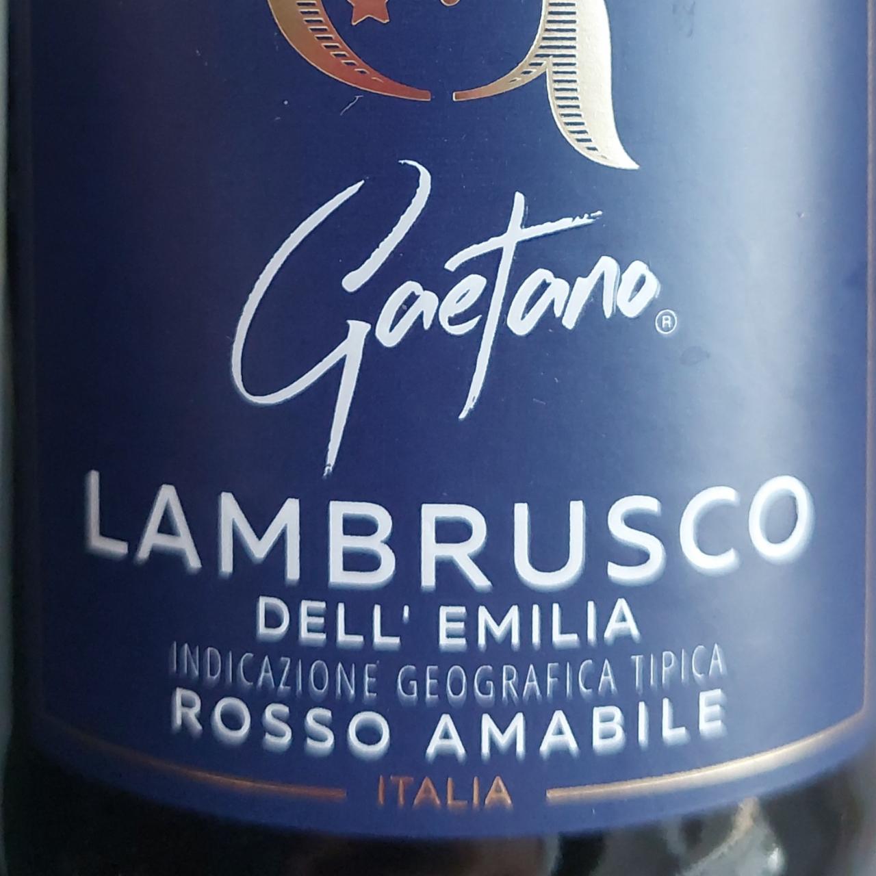 Фото - Вино жемчужное игристое красное полусладкое Cascina S. Maria Rosso Amabile Lambrusco dell’Emilia