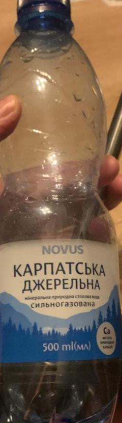 Фото - Карпатська джерельна сильногазованная вода Novus