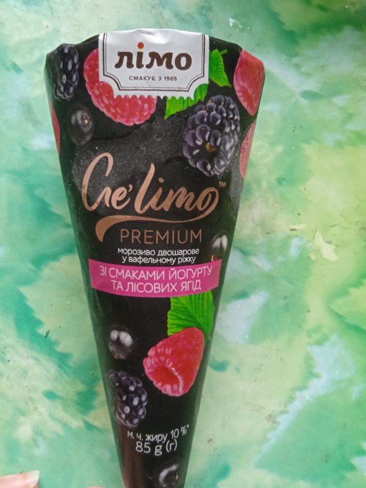 Фото - Мороженое 10% двухслойное со вкусом йогурта и лесных ягод в вафельном рожке Ge'limo Лімо