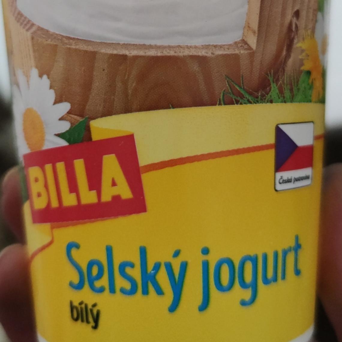 Фото - Йогурт белый 3.6% Selsky Jogurt Billa