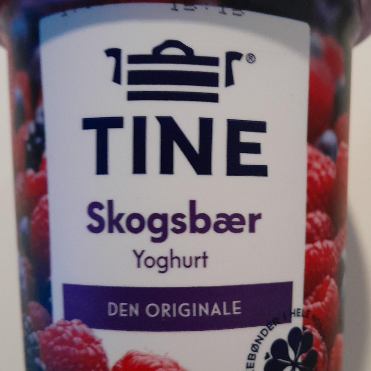 Фото - йогурт с лесными ягодами skogsbær Tine