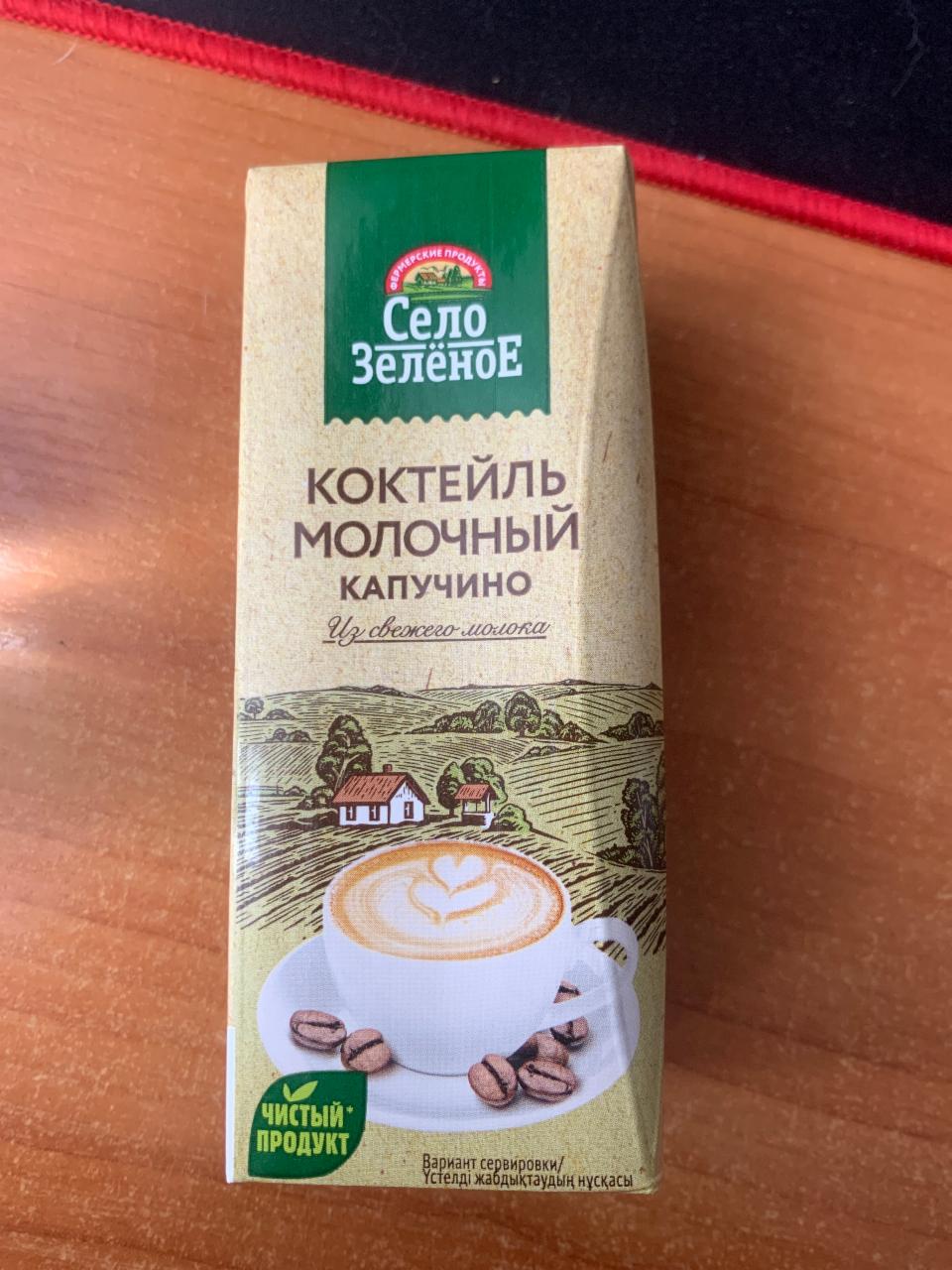 Фото - Коктейль молочный с кофе Капучино Село Зеленое