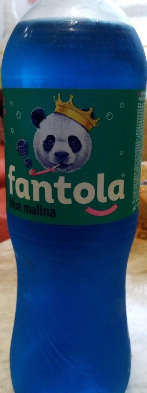 Фото - Напиток сильногазированный малина malina Fantola blue