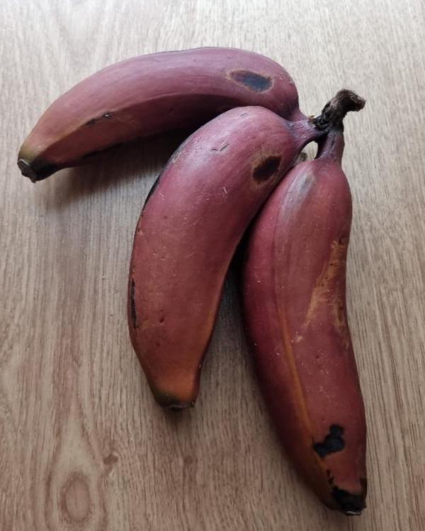 Фото - Красный банан