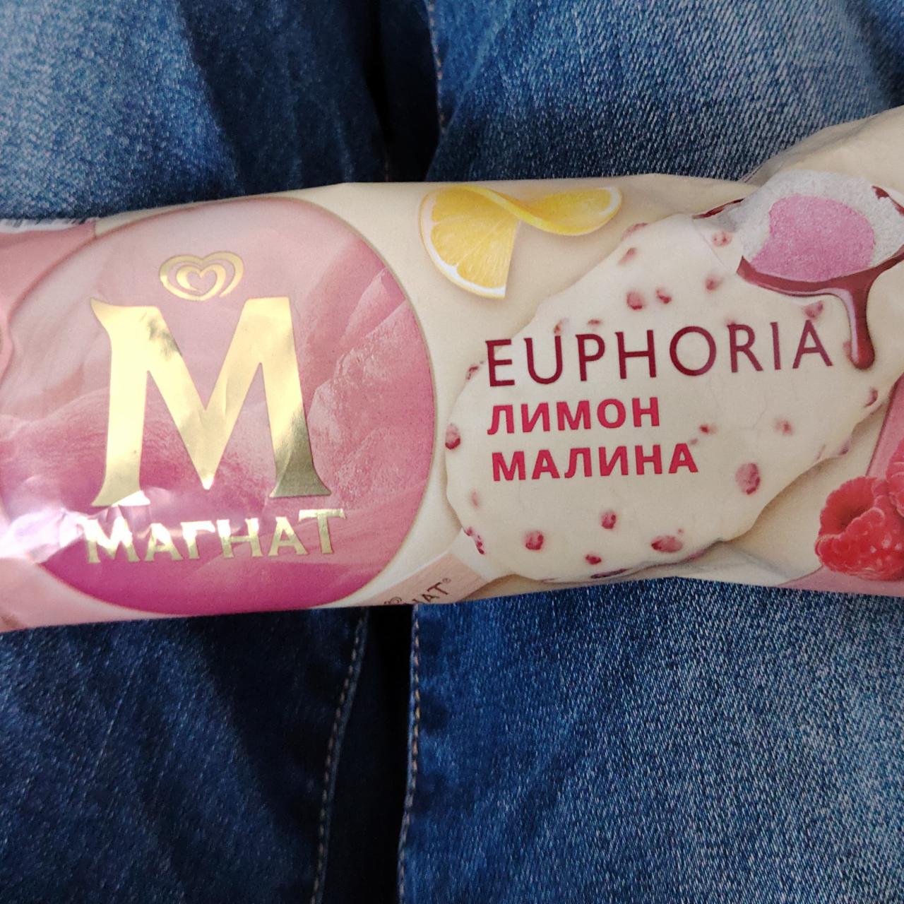 Фото - Лимонное мороженое Euphoria лимон малина Магнат