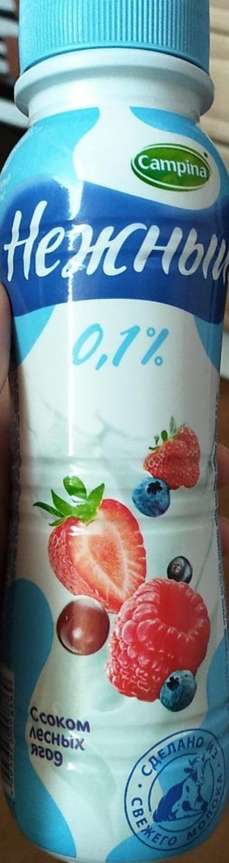 Фото - Продукт йогуртовый Нежный 0.1% с соком лесных ягод Campina