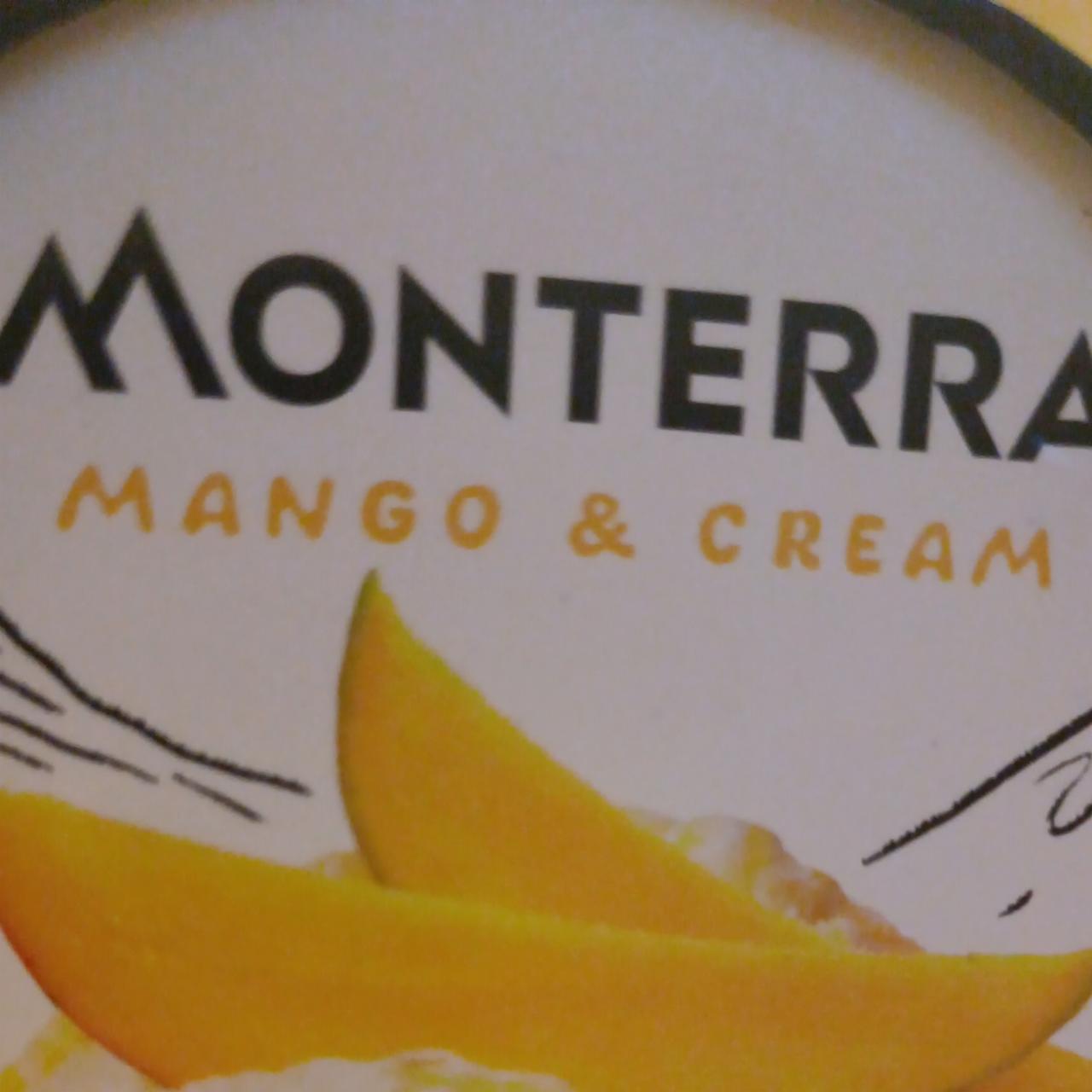 Фото - Мороженое манго Monterra