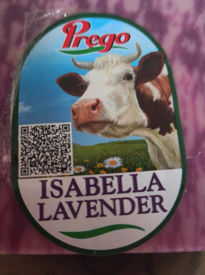 Фото - сыр Isabella Lavender Prego